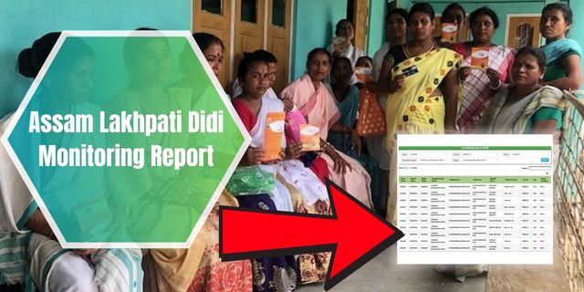 Assam Lakhpati Didi Monitoring Report